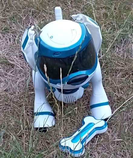 Photo of free Teksta Robotic puppy (Top Amersham HP6) #1