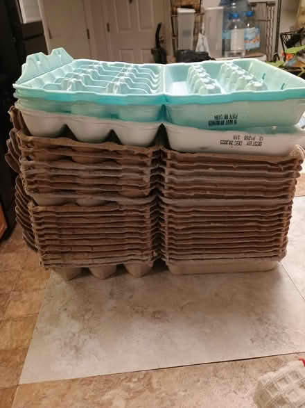 Photo of free Egg Cartons (Charlottesville, Near Pen Park) #1