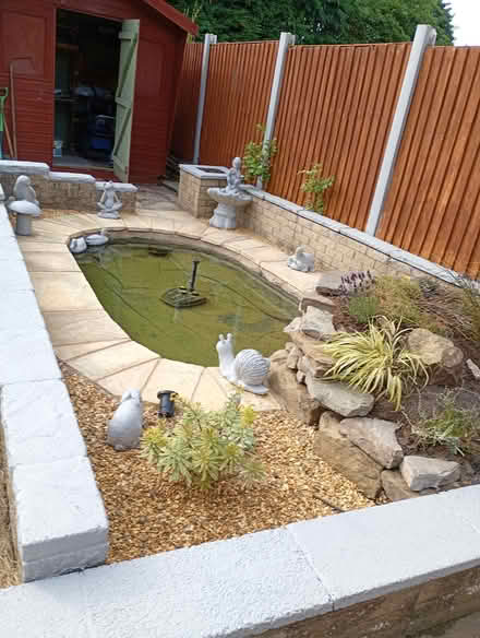 Photo of Pond plants (Maghull L31) #1