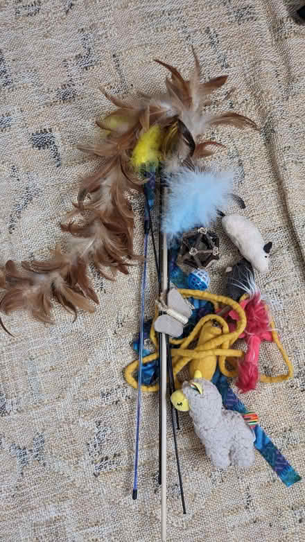 Photo of free Collection of Cat Toys (Priestthorpe BD16) #1