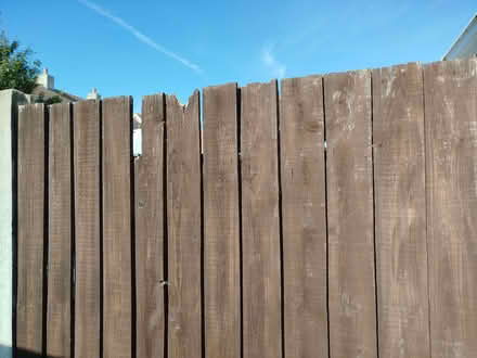 Photo of Feather edge fencing 5ft x 6ft. (Great Wakering SS3) #1