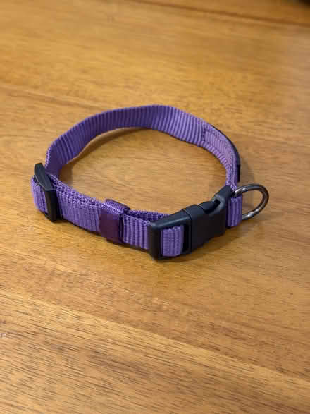 Photo of free Small dog crate, harness and collar (H Street Corridor) #3