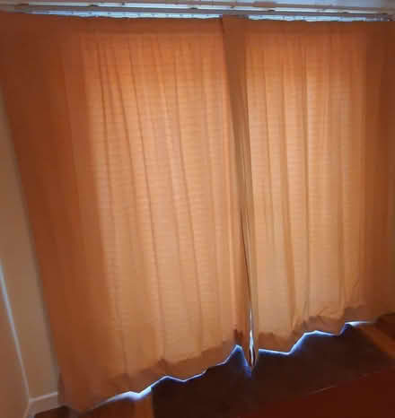 Photo of free Curtains (Broadstone BH17) #2