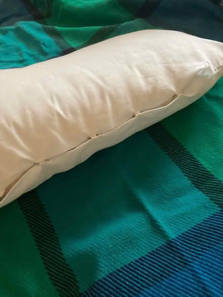 Photo of free Triangular support cushion (Willingdon BN22) #2