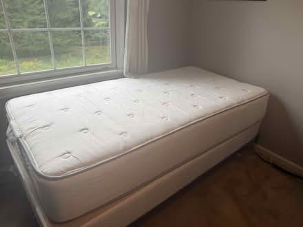 Photo of free Twin Bed (Hopewell) #1