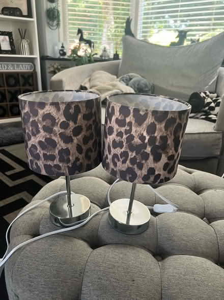 Photo of free 2 small lamps (Skerton LA1) #1