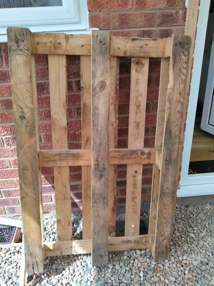 Photo of free Standard Pallet (Mold CH7) #1