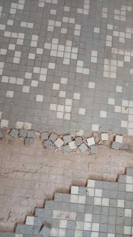 Photo of free Mosaic tiles (Chell ST6) #1