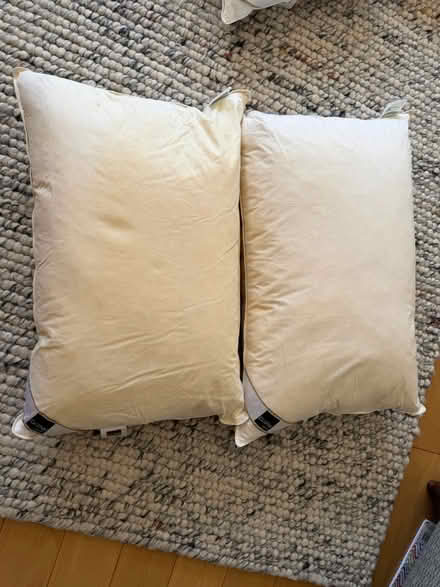 Photo of free 2x pairs of feather & down pillows (Near Berrylands Station KT5) #2