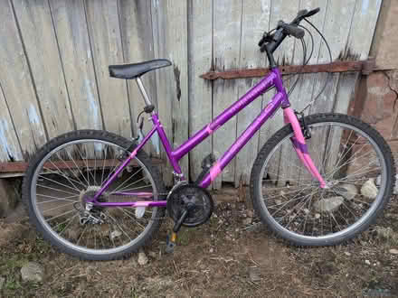 Photo of free Girls bike age 10/12 yrs (Renwick CA10) #1