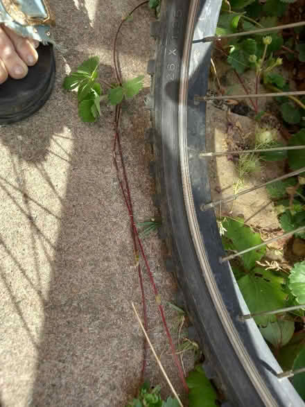 Photo of Tyre 26 x 1.95 ideally (Downhead Park MK15) #1