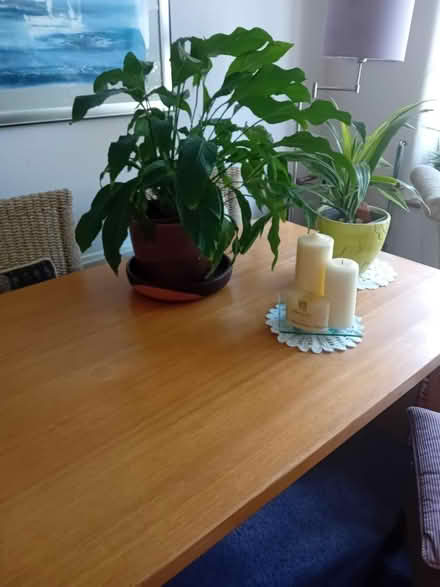 Photo of free Wooden headboard & dining table (Stockport SK2) #3