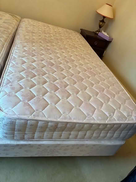 Photo of free 2 Single Beds (Kemptown BN2) #3