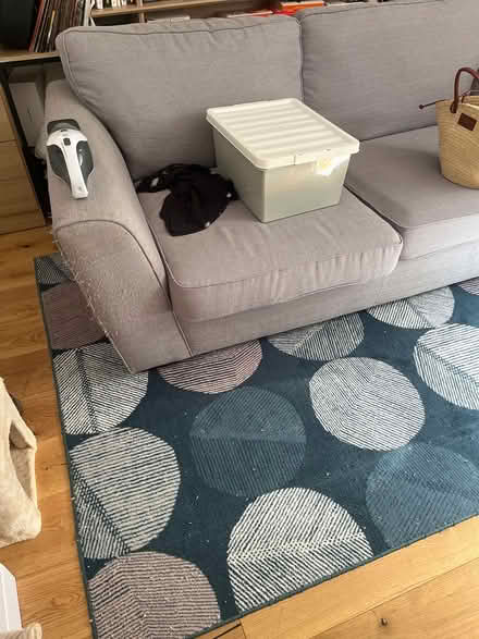 Photo of free Large area rug (SW9) #1