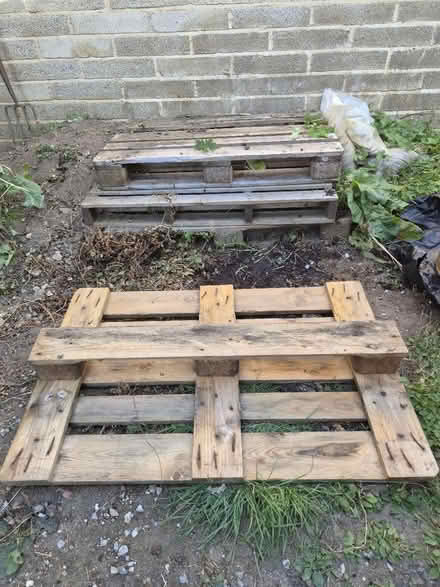 Photo of free Wooden pallets (Bramley LS13) #1
