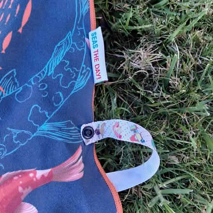 Photo of free Beach/picnic mat (Union City) #2