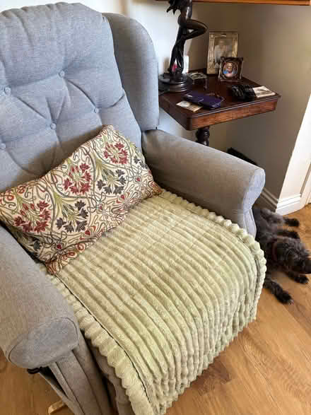 Photo of free Duel motor riser recliner (Catsfield TN33) #3