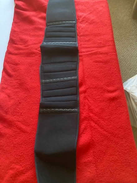 Photo of free Brace support for waist/back (Willingdon BN22) #1