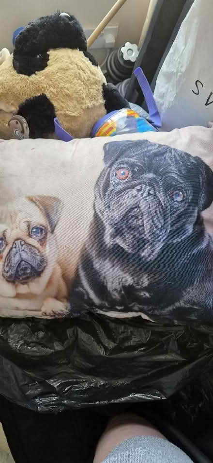 Photo of free Variety of pug cushions (Portsmouth PO1) #4
