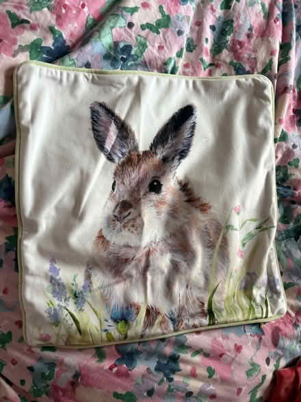 Photo of free Assorted cushion covers (G31 Dennistoun) #4