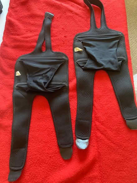Photo of free Knee supports (Willingdon BN22) #1