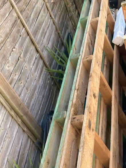 Photo of free Large wooden pallets x3 (N13 Palmers Green) #1
