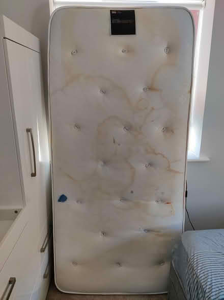 Photo of free single mattress (Maidstone ME15) #2