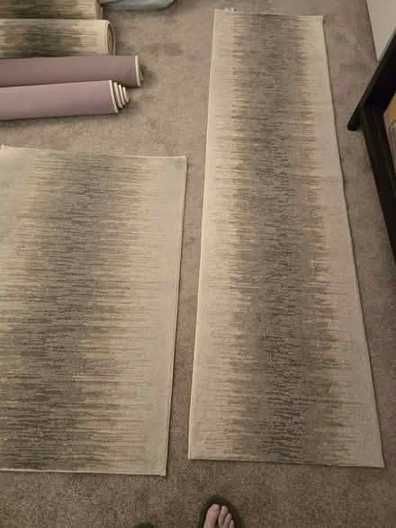 Photo of free Six Rugs (3 pairs) (Gunbarrel) #2