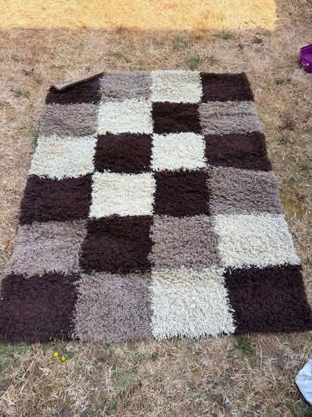 Photo of free Rug (Hemel Hempstead HP2) #2