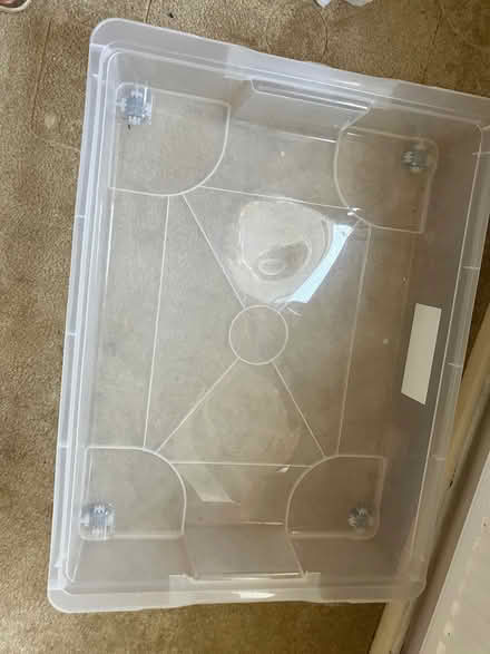 Photo of free Plastic under- bed storage (Birch, Essex) #1