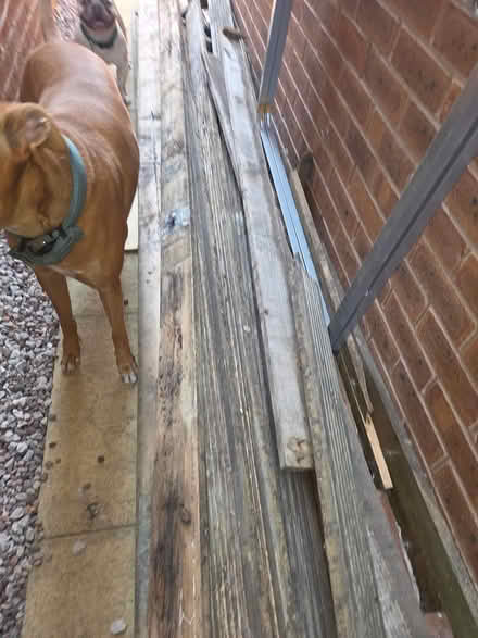 Photo of free Old decking boards (Hadley TF1) #1