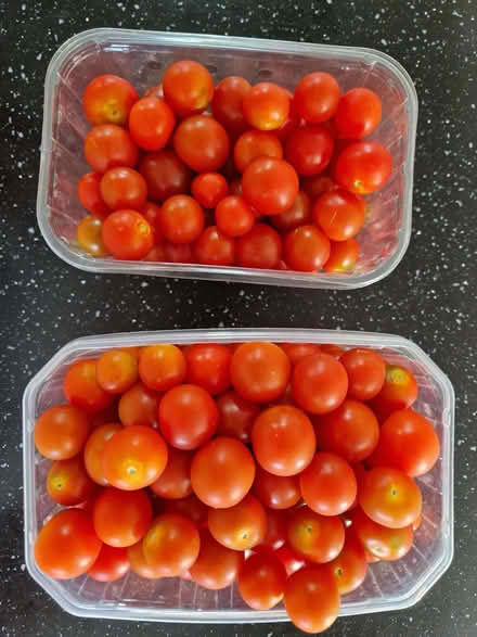 Photo of free Cherry tomatoes (Horsford NR10) #1