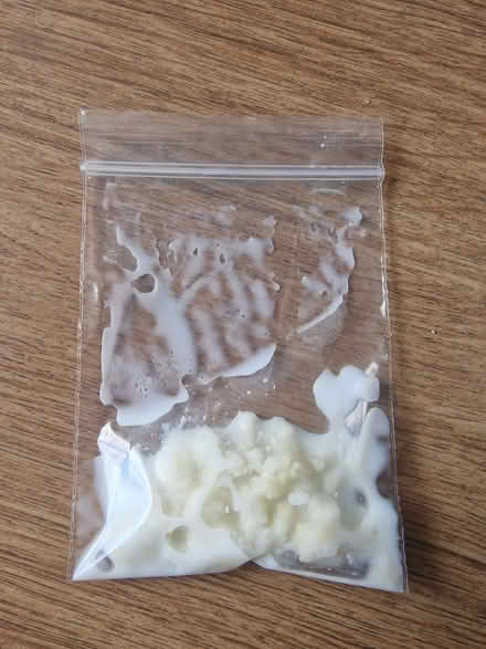 Photo of free kefir grains/fungi (East Kilbride G75) #3