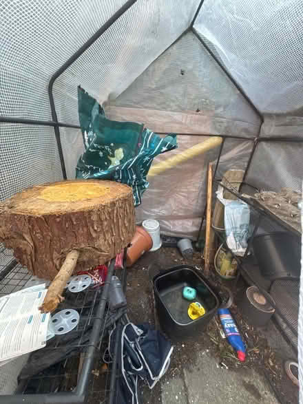 Photo of free plastic greenhouse (Adelphi PR1) #2