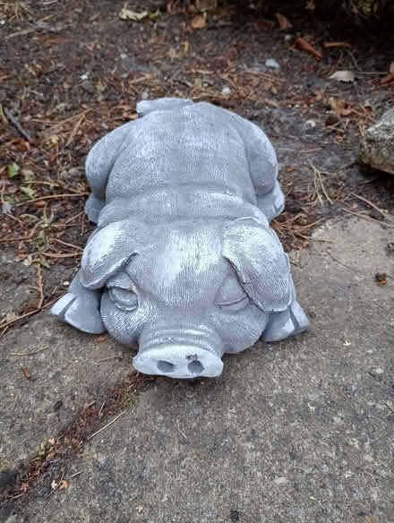 Photo of free Stone pig garden ornament (North Ascot SL5) #1