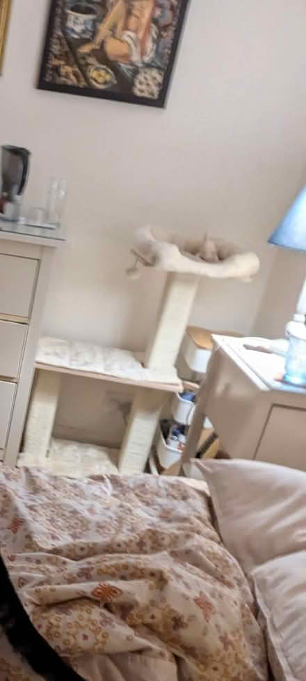 Photo of free cat tree (Archway, N19) #2