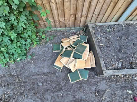 Photo of free Wood many types/sizes (Woodham, Woking GU21 5TN) #2
