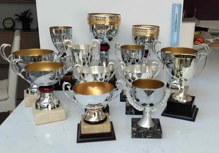 Photo of free Thirteen used trophy cups (Ealing W5) #1