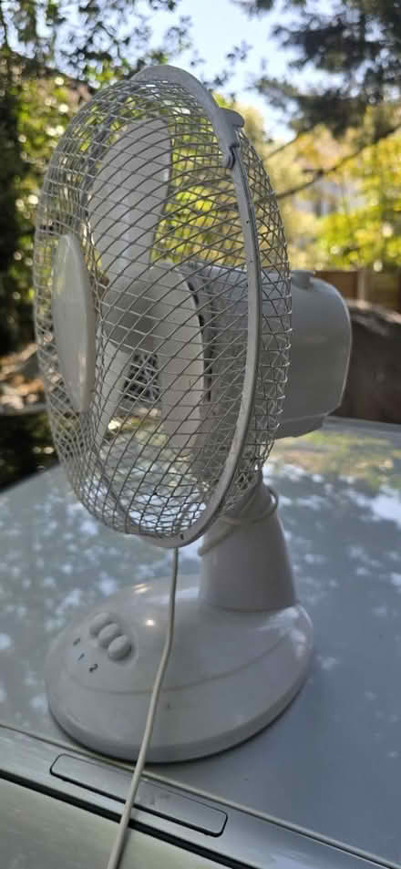 Photo of free Small fan (The Ridgeway Way E4) #2