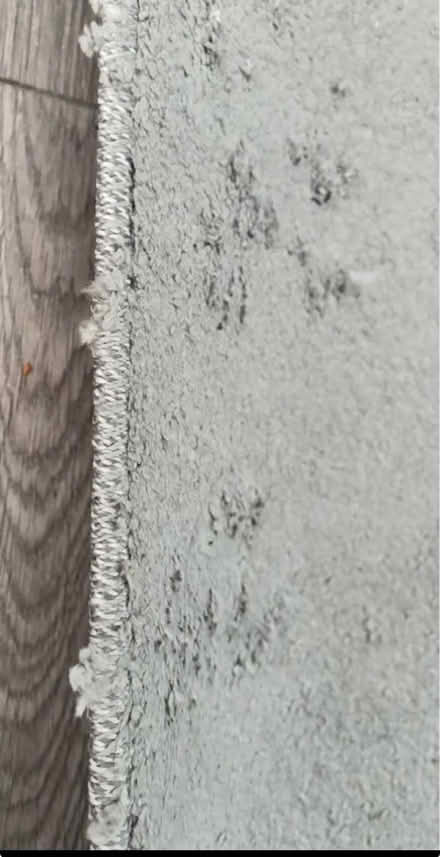 Photo of free Large Grey rug 200cm by 290cm (Edmonton N9) #3