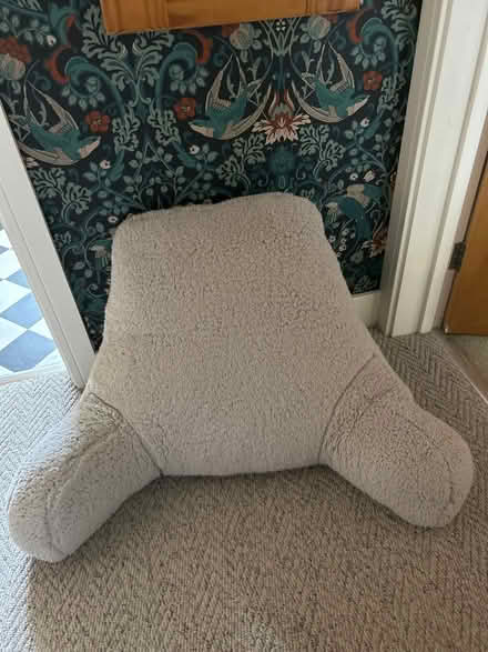 Photo of free Shaped cushion (Didcot OX11) #1