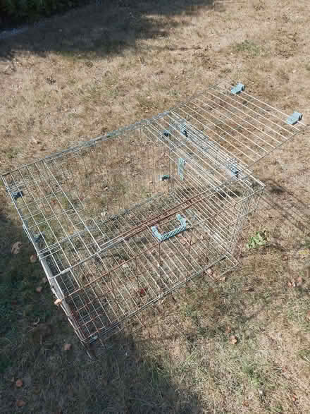 Photo of free Animal enclosure/cage (Saughall village CH1) #1