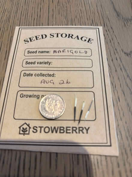 Photo of free flower seeds (Oswestry SY11) #4