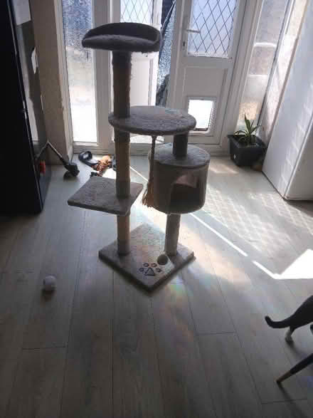 Photo of free Cat stand (Bromley North BR1) #1