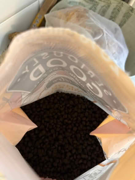 Photo of free good kitten dry food (Tudor Road E4) #3