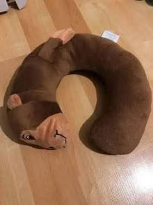 Photo of free Kids neck pillow (L5L 5P5) #1