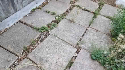 Photo of free Paving slab tiles (Summertown OX2) #1