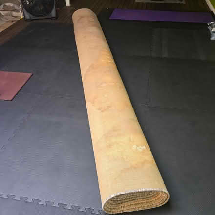 Photo of free Carpet (Bentley park) #1