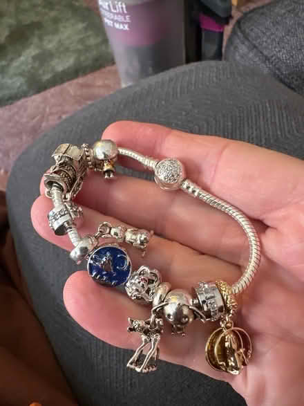 Photo of free Charm Bracelet & Charms (Milton OX14) #2