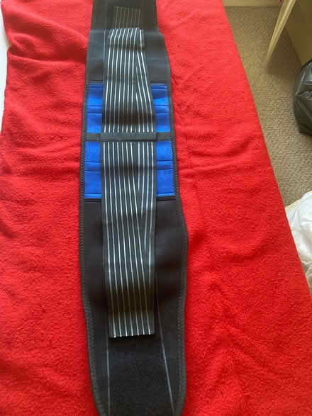Photo of free Brace support (Willingdon BN22) #2